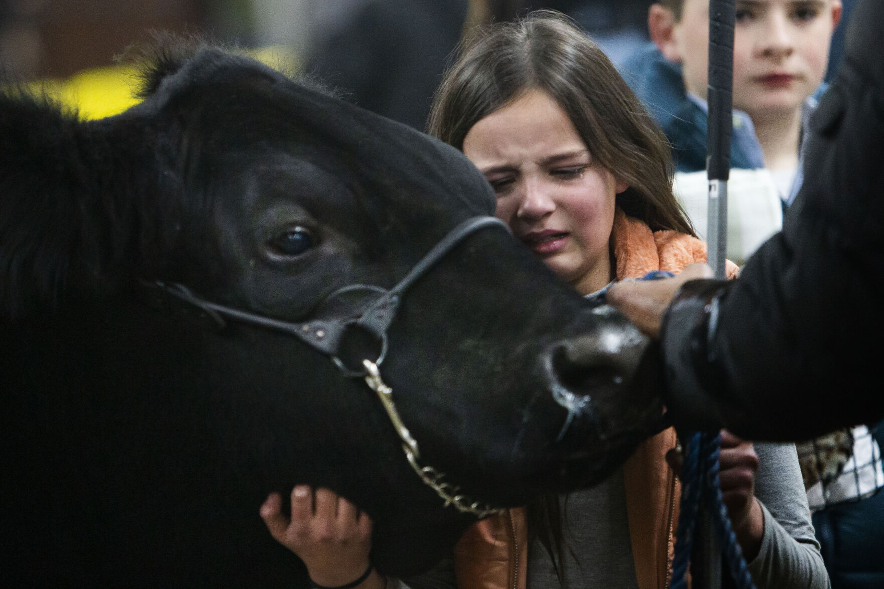 012222-news-JrLivestockAuction01.JPG